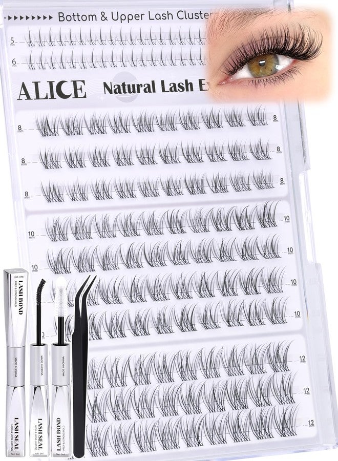 أليس مجموعة رموش أليس القصيرة (8 مم - 10 مم - 12 مم) - مجموعة رموش طبيعية شفافة - مجموعة رموش خفيفة مع لاصق رموش سفلية - سهلة التركيب في المنزل - Image 1